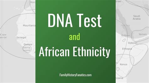 does everyone have african dna.